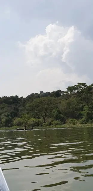 Scenic views across a safari landscape
