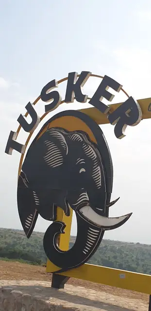 A safari landmark along the journey